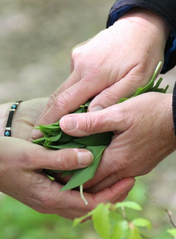 hands-2665660-1920.jpg